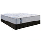 Posturepedic Plus Colin 11.5" Wrapped Coil Firm Tight Top Mattress