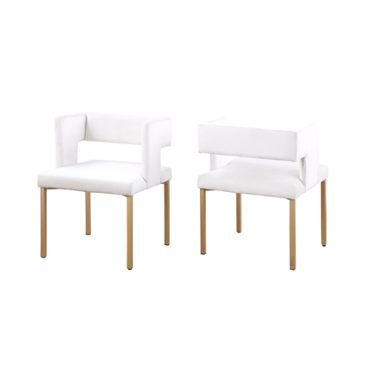 7621  Dining ChairSet OF 2 in Beige