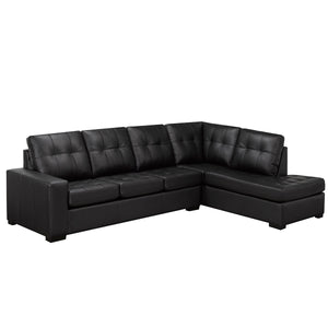 Zurich Series 2 pc Leather Sectional Sofa by Fancy