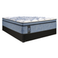 Sealy Talia Mattress